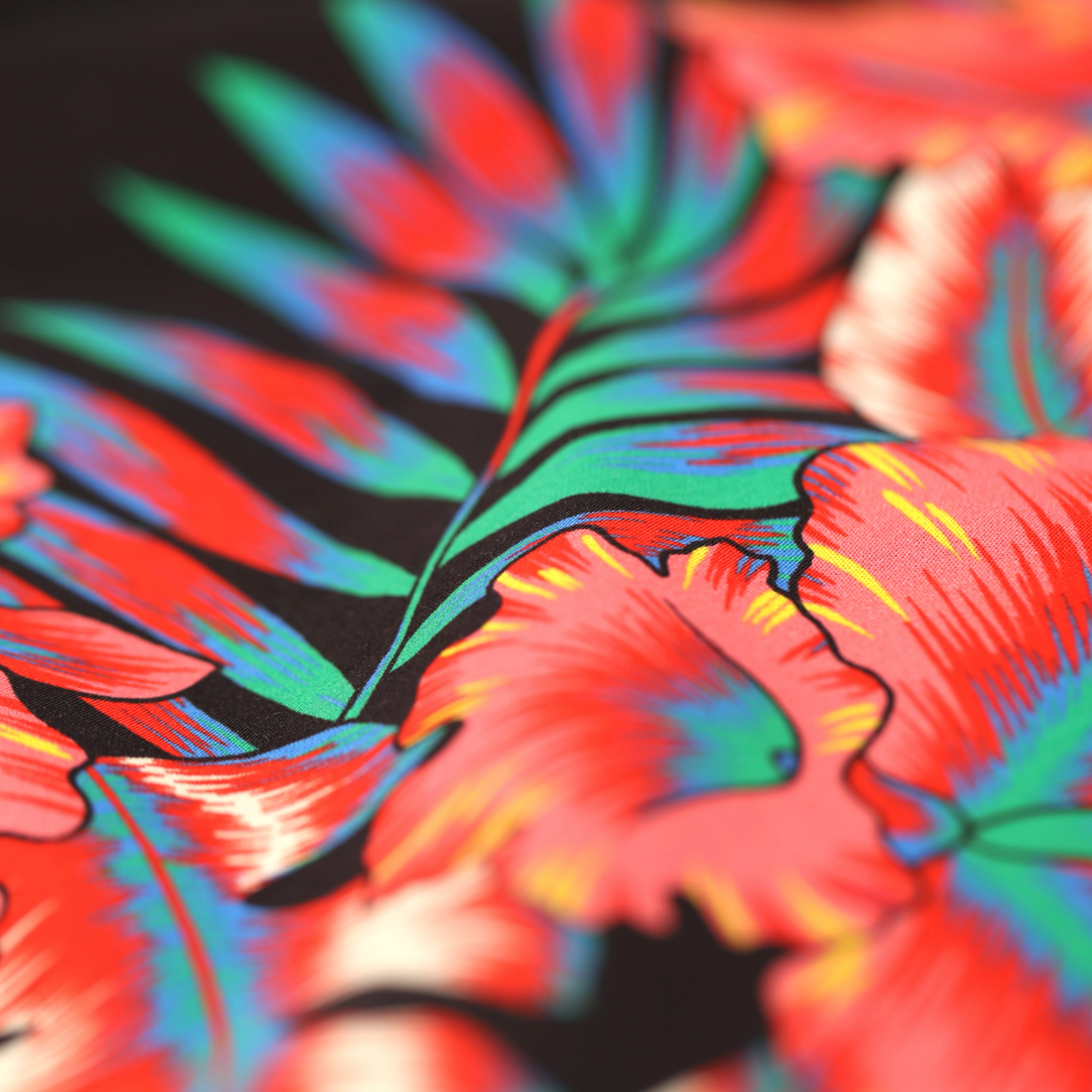 Tropical Noir - Classic