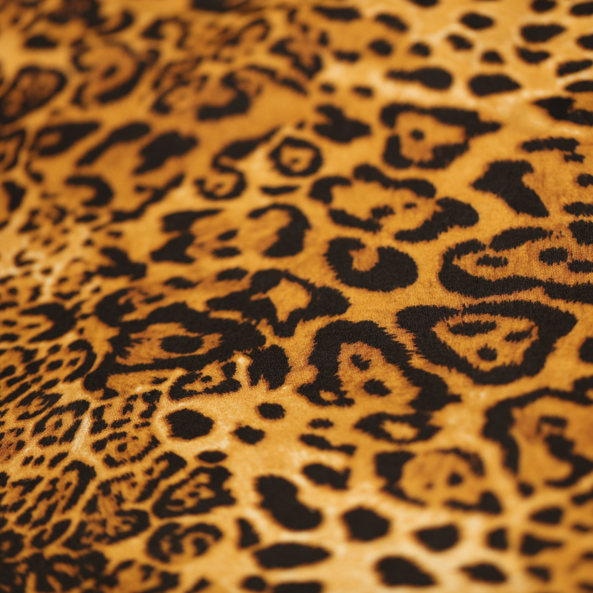 Golden Leopard