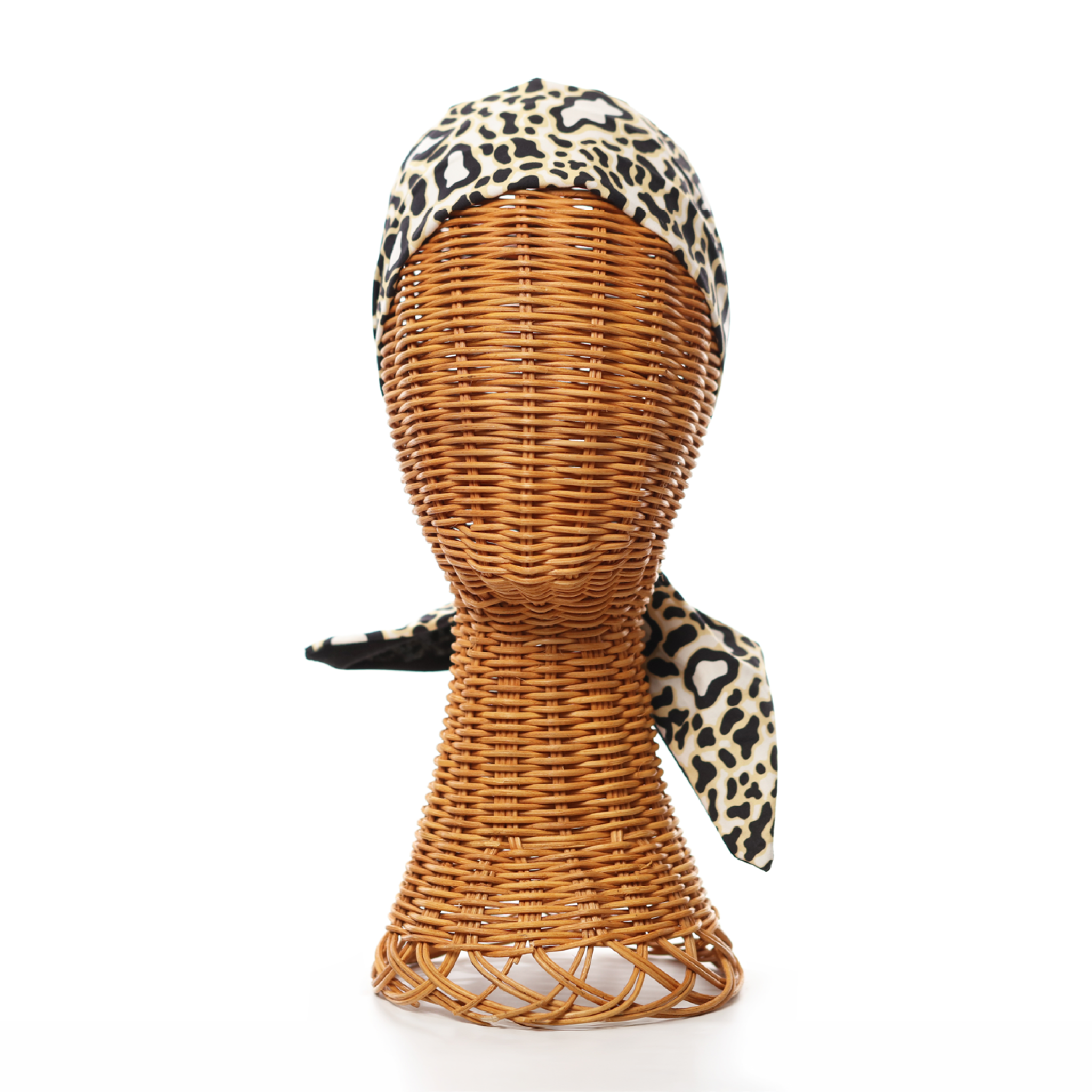 Pop Art Leopard
