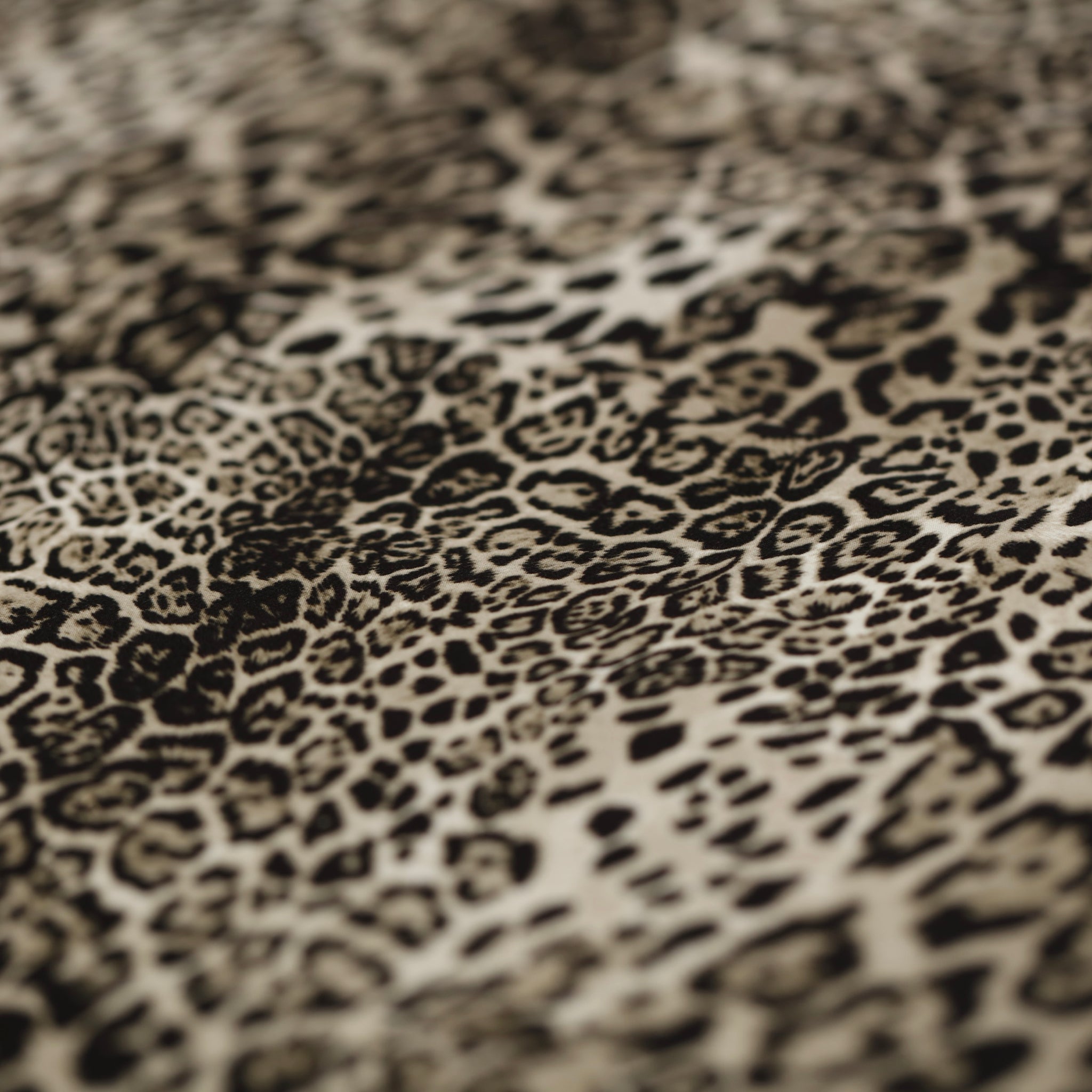 Royal Leopard - Queen